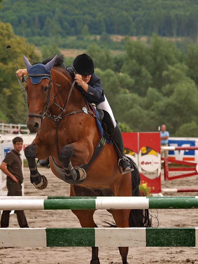 RTV Adelebsen 2008 2. P Nadine Scheinhütte