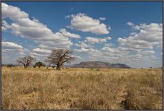 Ruaha Nationalpark