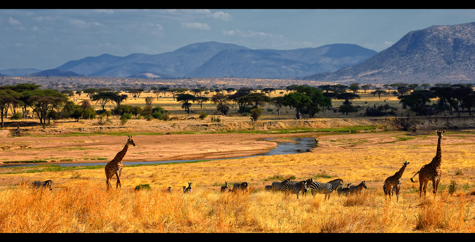 Ruaha N.P...