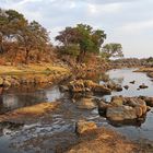 Ruaha River