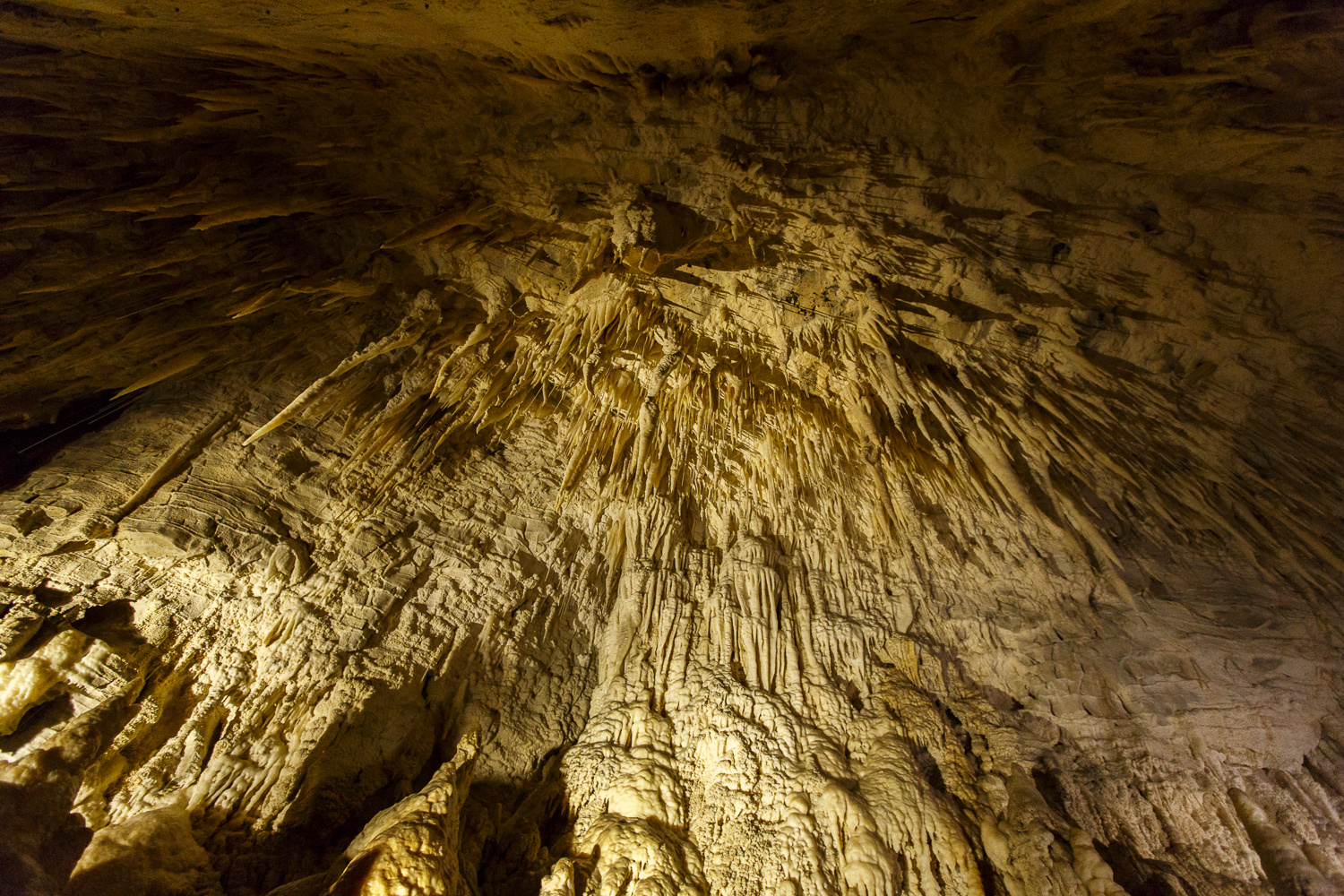 Ruakuri Cave, Neuseeland