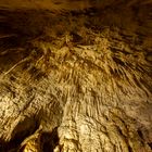 Ruakuri Cave, Neuseeland