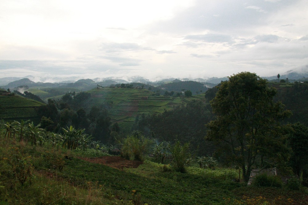 Ruanda - das Land der Tausend Hügel