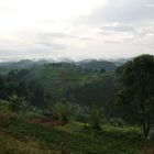 Ruanda - das Land der Tausend Hügel