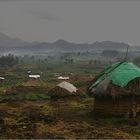 ruanda im regen-nebel