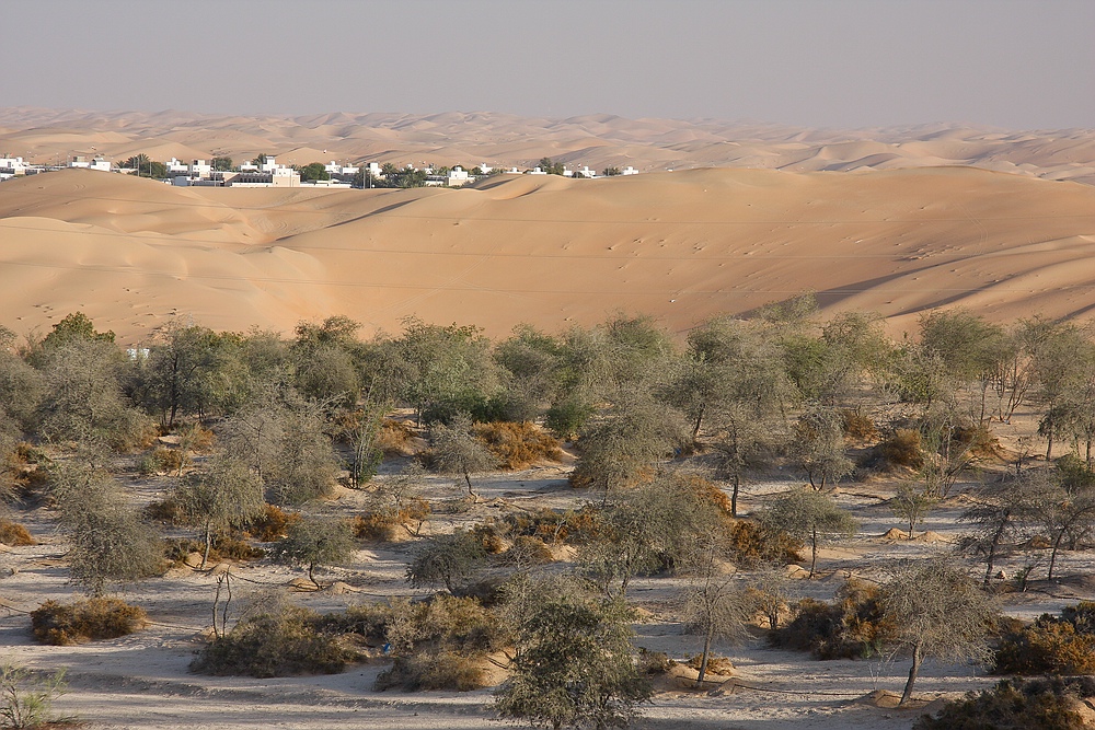 Rub Al Khali - Liwa Oase