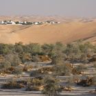 Rub Al Khali - Liwa Oase