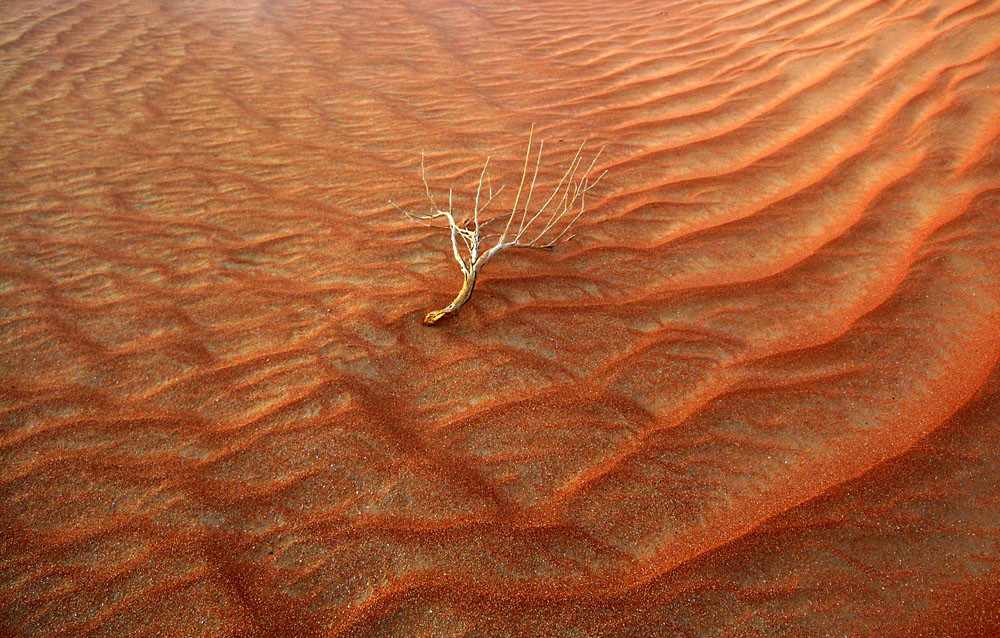 Rub-Al-Khali V