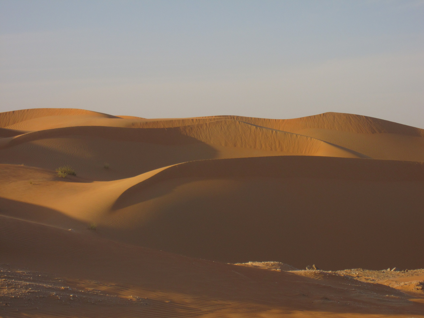 Rub Al Khali Wüste.....