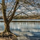 Rubbenbruchsee 