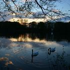 Rubbenbruchsee Abenddämmerung