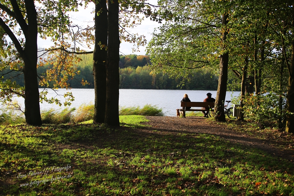 Rubbenbruchsee im November