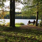 Rubbenbruchsee im November