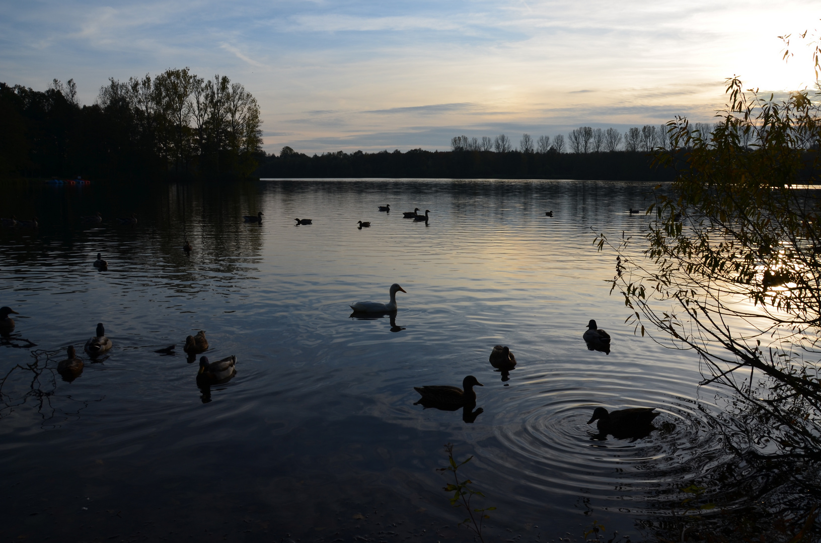 Rubbenbruchsee in Osnabrück