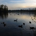 Rubbenbruchsee in Osnabrück