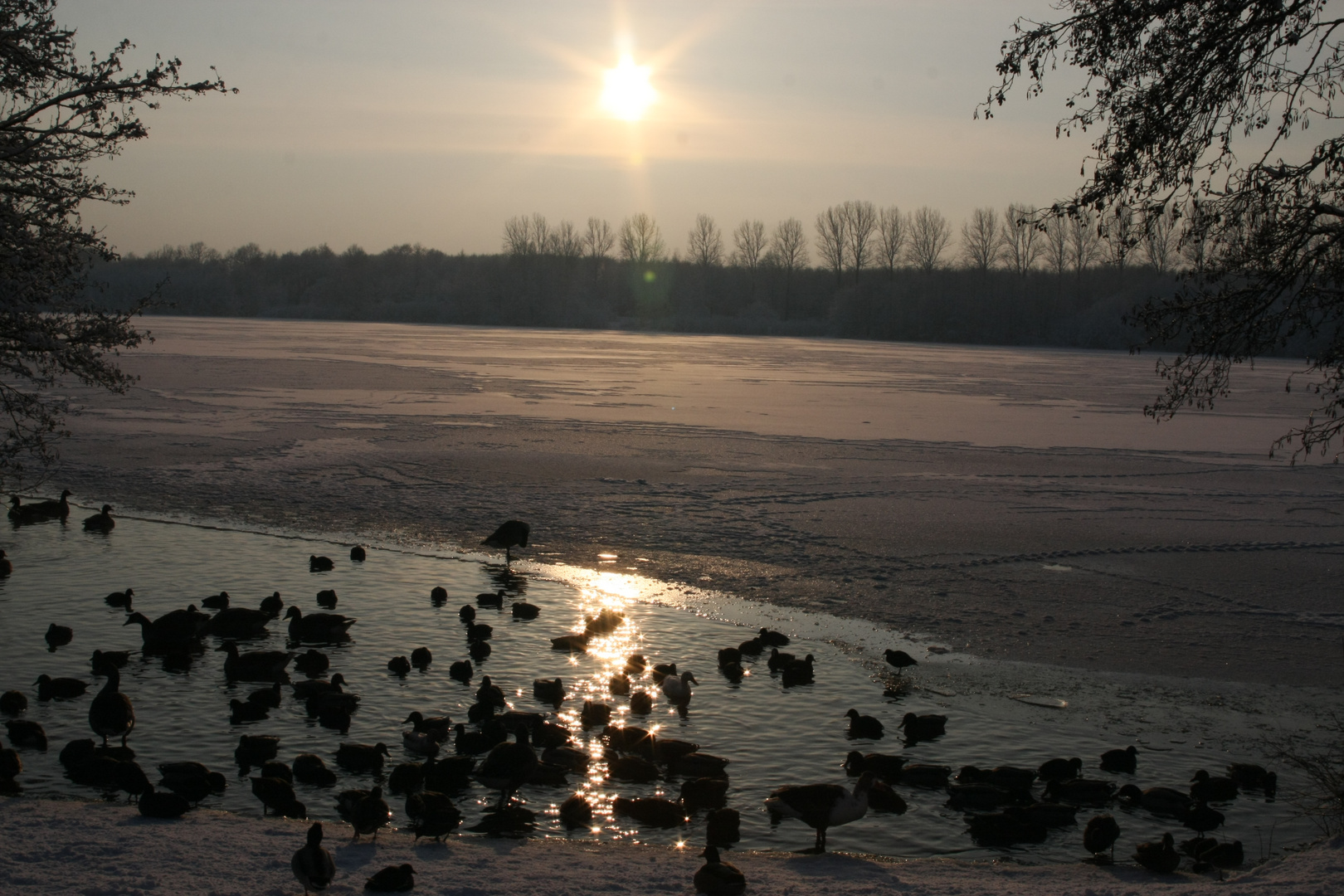 Rubbenbruchsee in Osnabrück