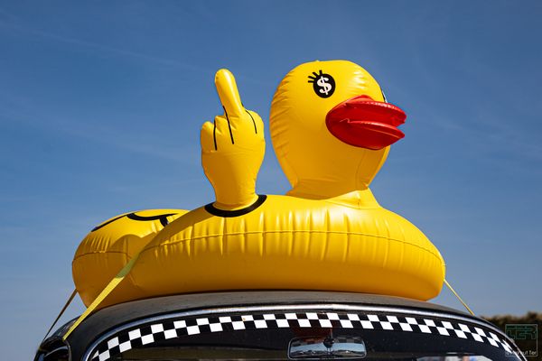 Rubber Duck