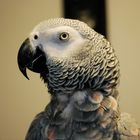 Rubi