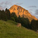 Rubihorn im Abendlicht