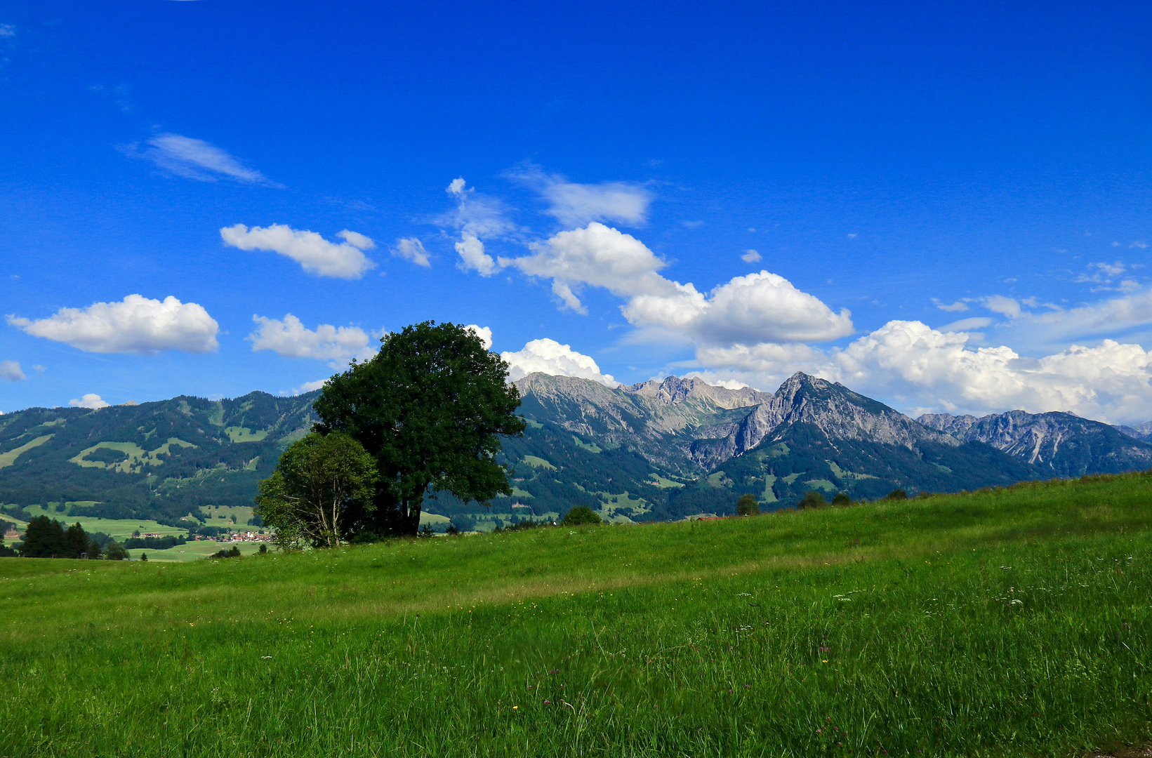 Rubihorn und Nebelhorn