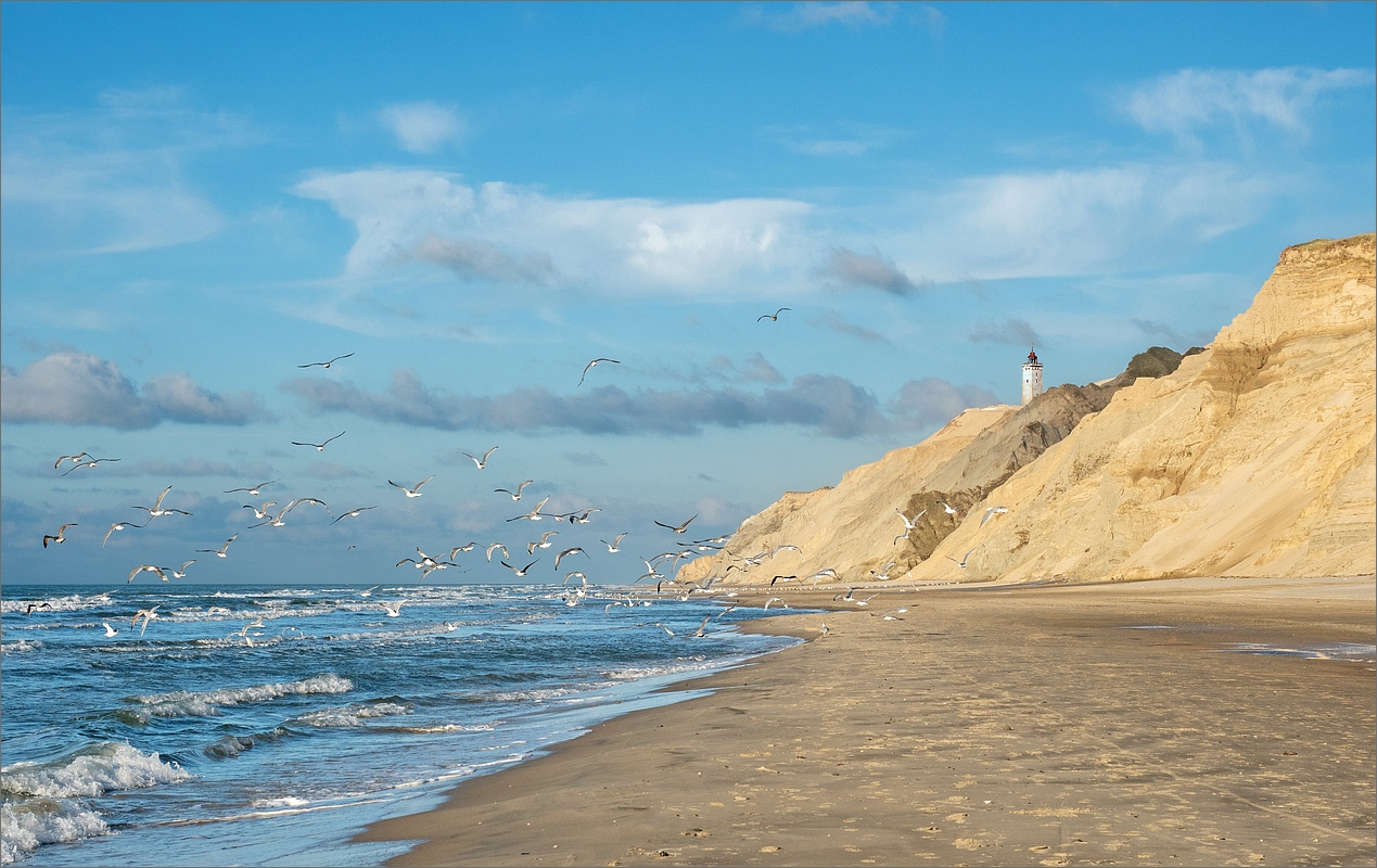 Rubjerg Knude Fyr