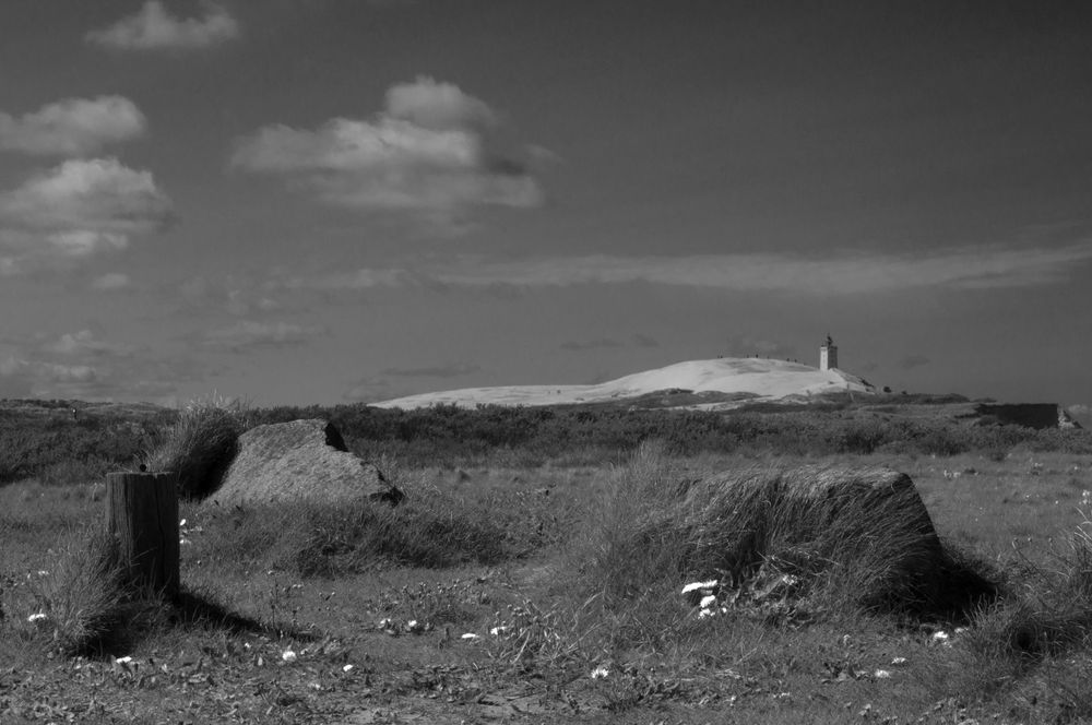 Rubjerg Knude Landschaft