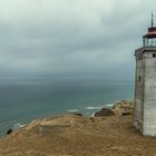 Rubjerg Knude,mal im Regen