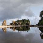 Ruby Beach (3)