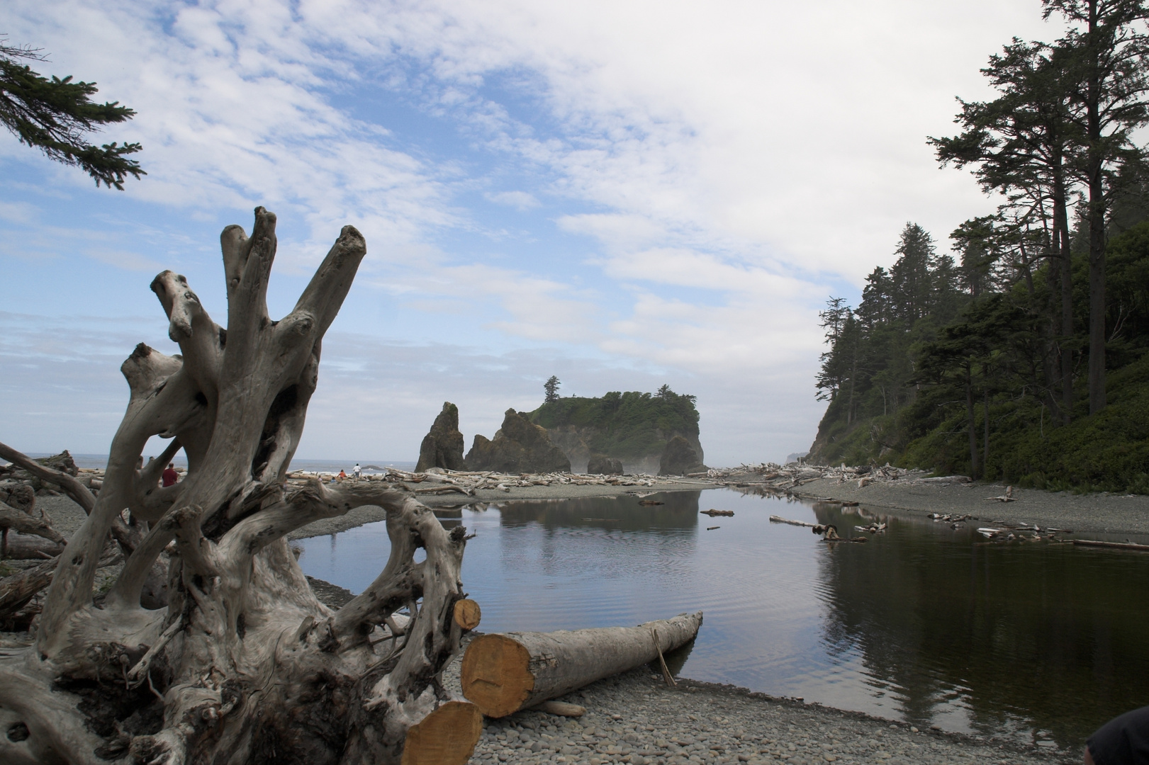 Ruby Beach Olympic National Park