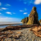 Ruby Beach USA