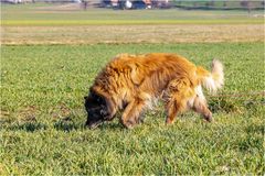 Ruby bei der Spurensuche