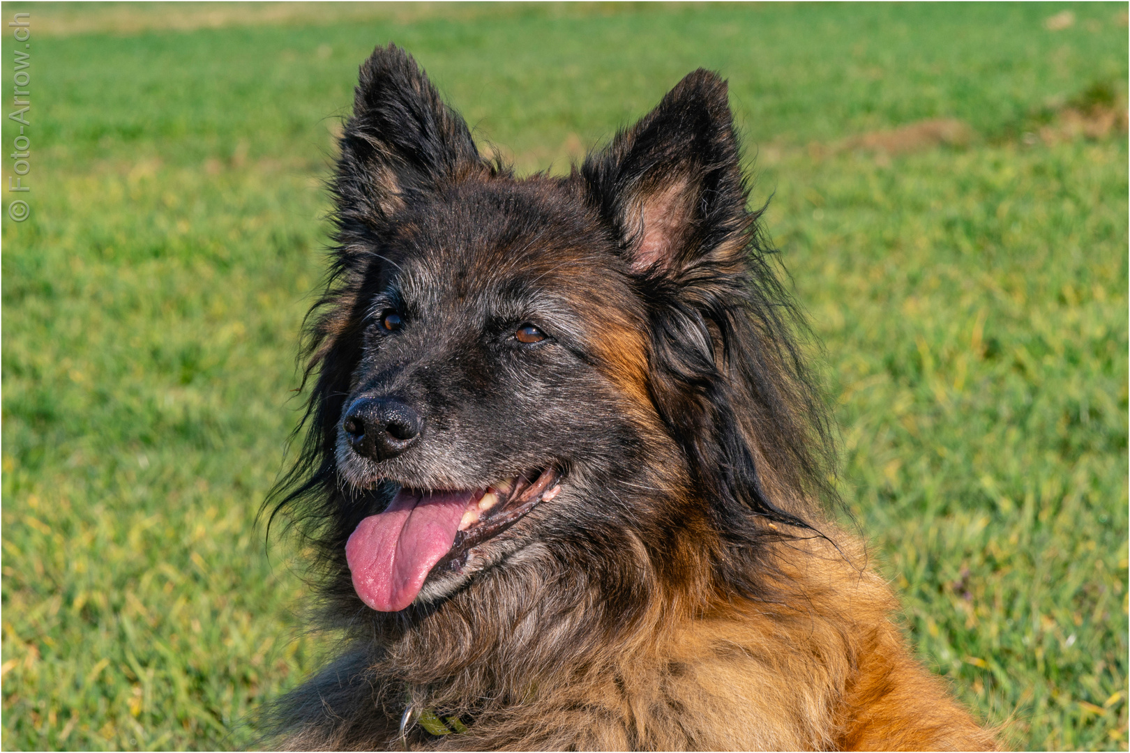 Ruby feiert den 14. Geburtstag