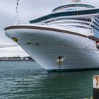 Ruby Princess in Cobh, Irland