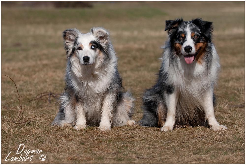 Ruby und Billy