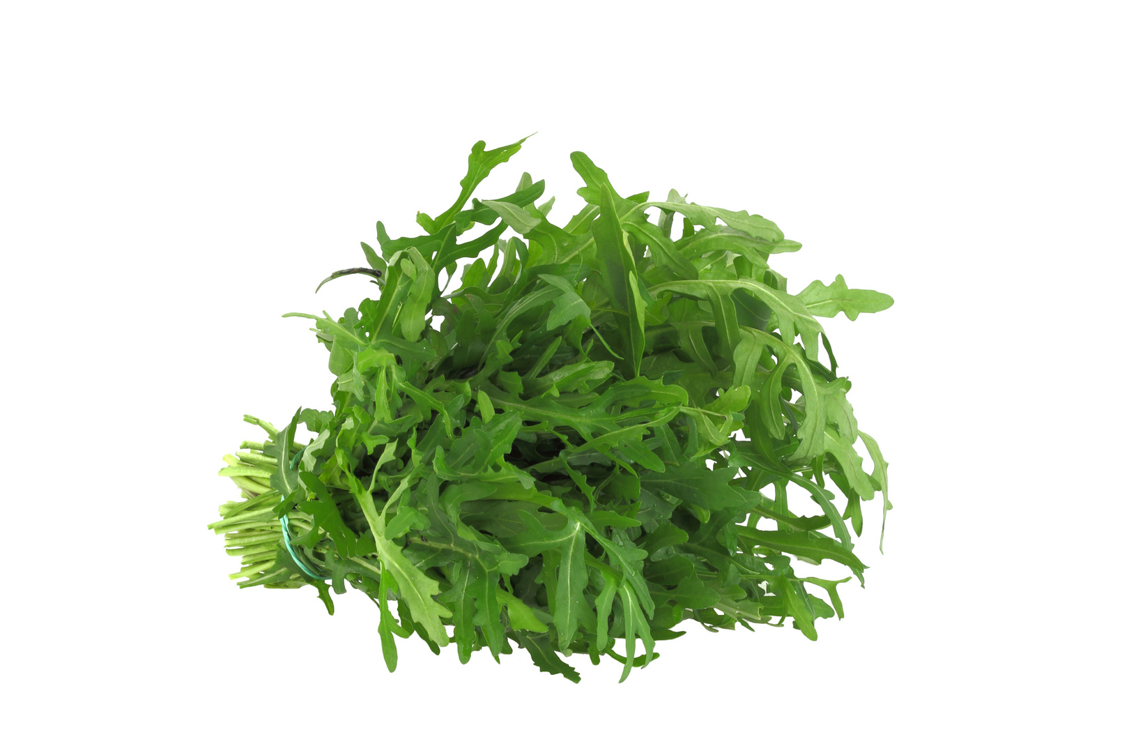 Rucola 3 Foto & Bild stillleben, essen & trinken, obst & gemüse
