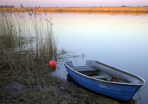 Ruderboot