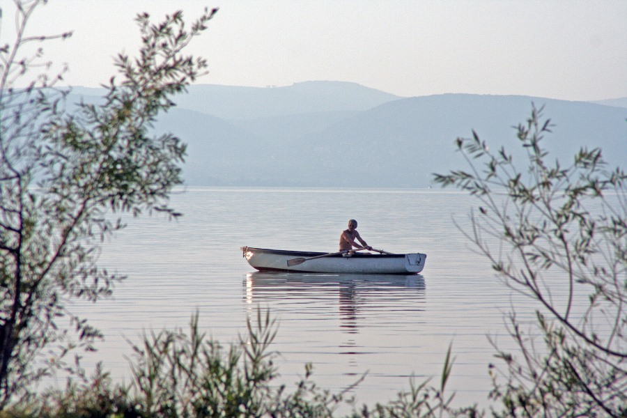 Ruderboot