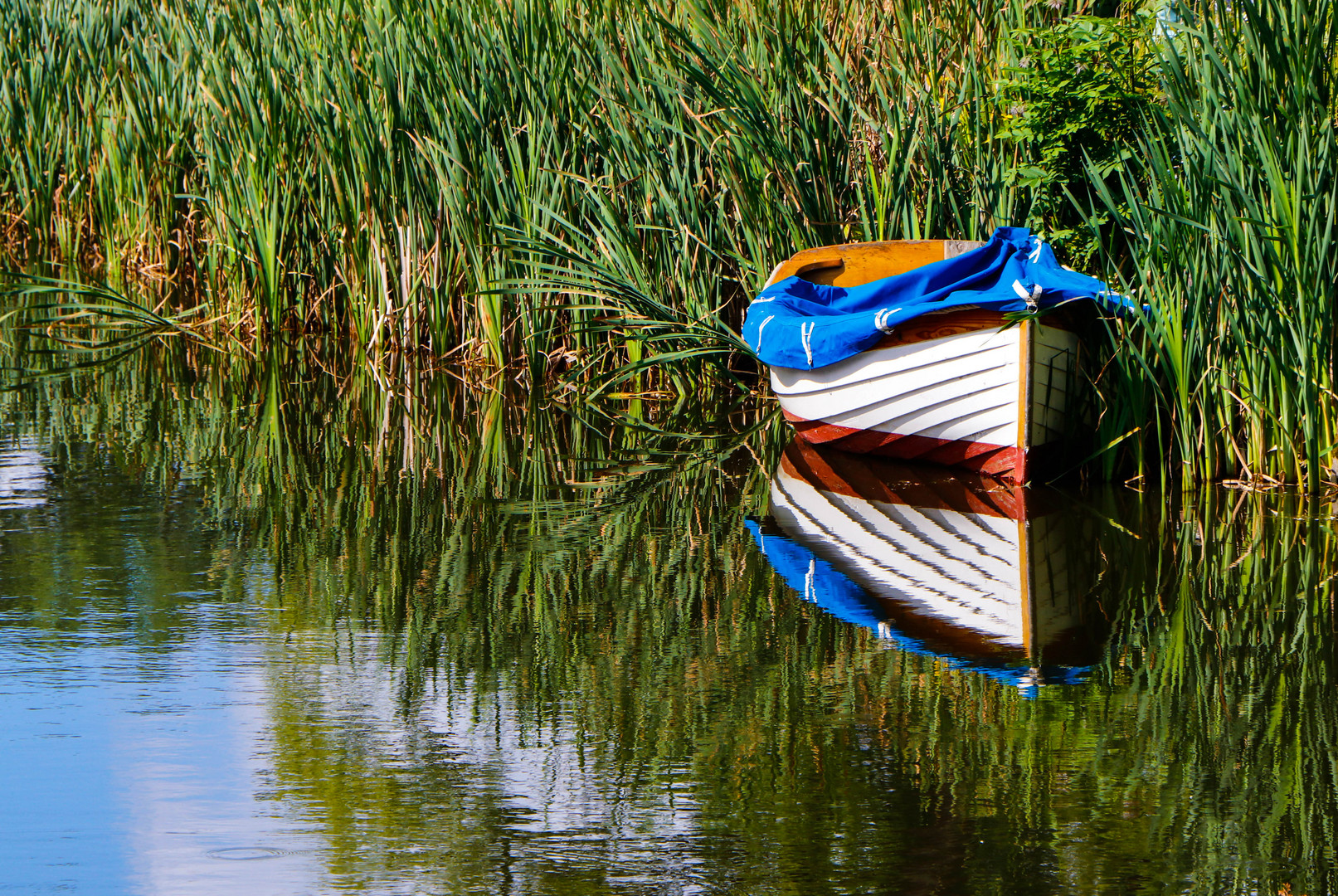 Ruderboot