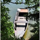 Ruderboot am Waldsee