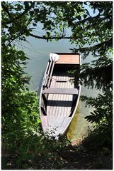 Ruderboot am Waldsee