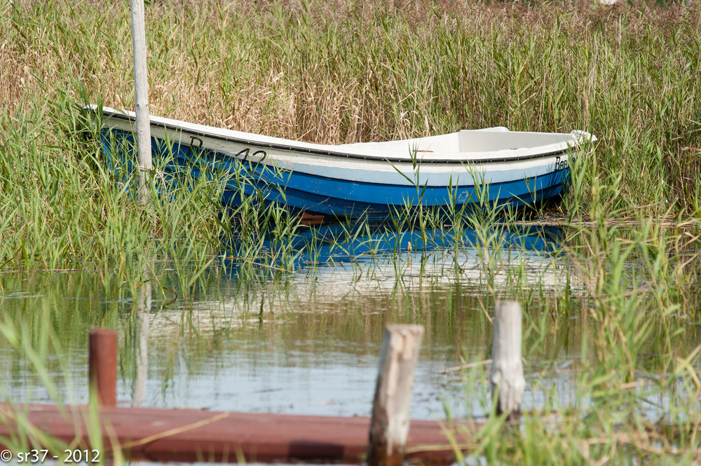 Ruderboot im Schilf, Selliner See