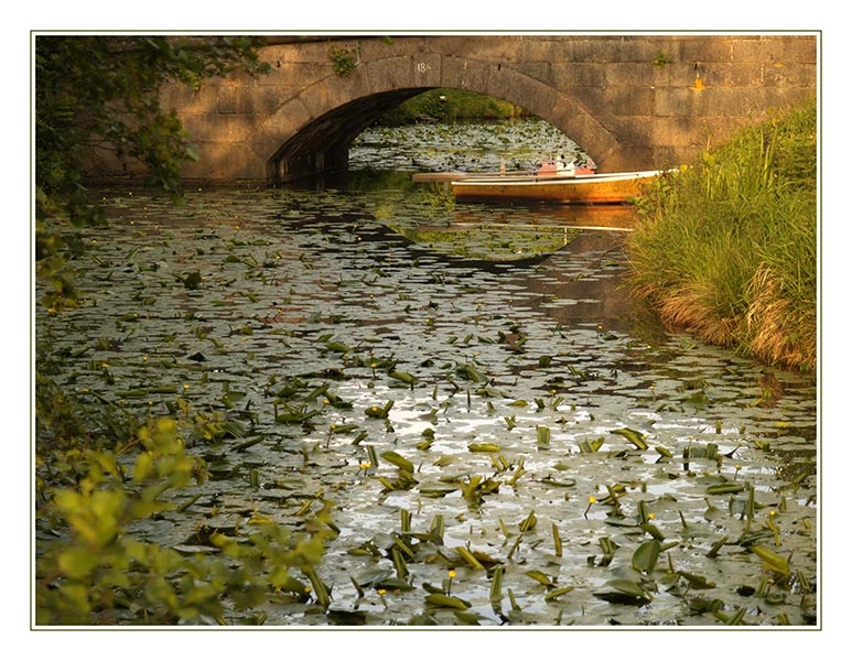 Ruderboot unter Brücke