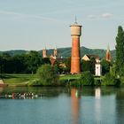 Ruderer am Neckar Ladenburg 2017