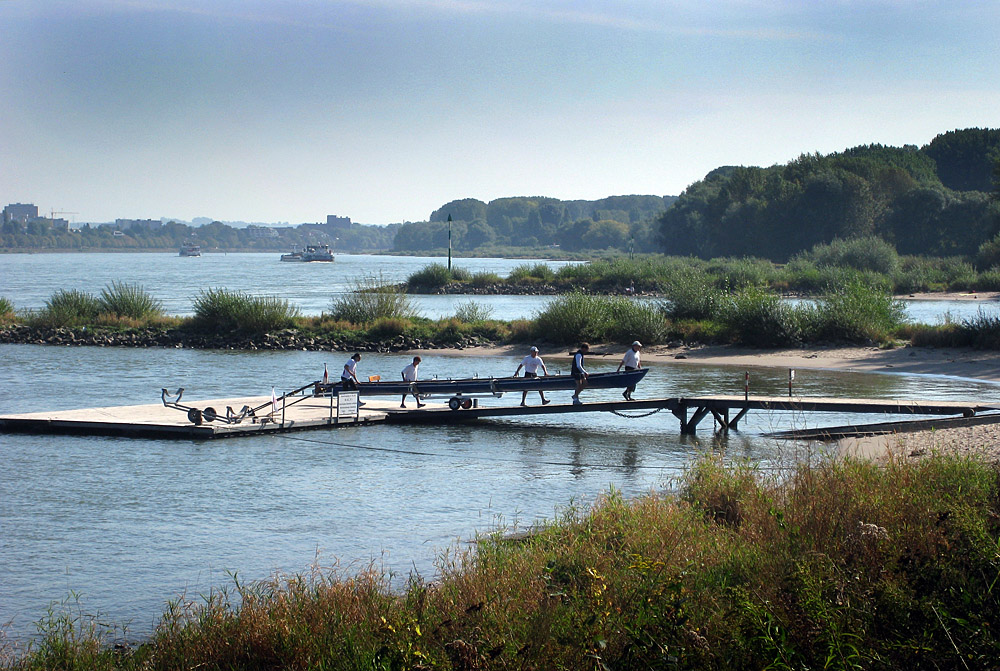 Ruderer am Rhein