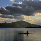 Ruderer am Wörthersee