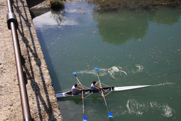 ... Ruderer an der Pont d'Avignon ...