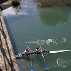 ... Ruderer an der Pont d'Avignon ...