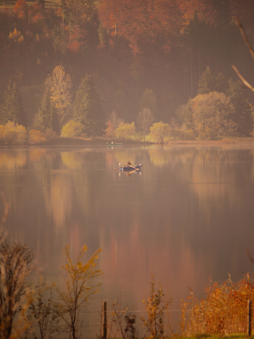 Ruderer auf dem Alpsee