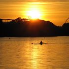 Ruderer auf dem Maschsee