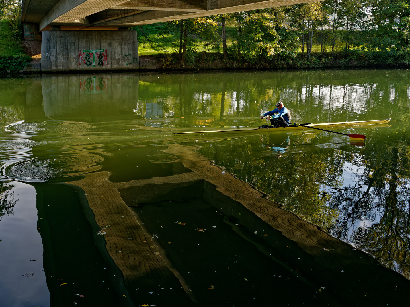 Ruderer auf dem Neckar